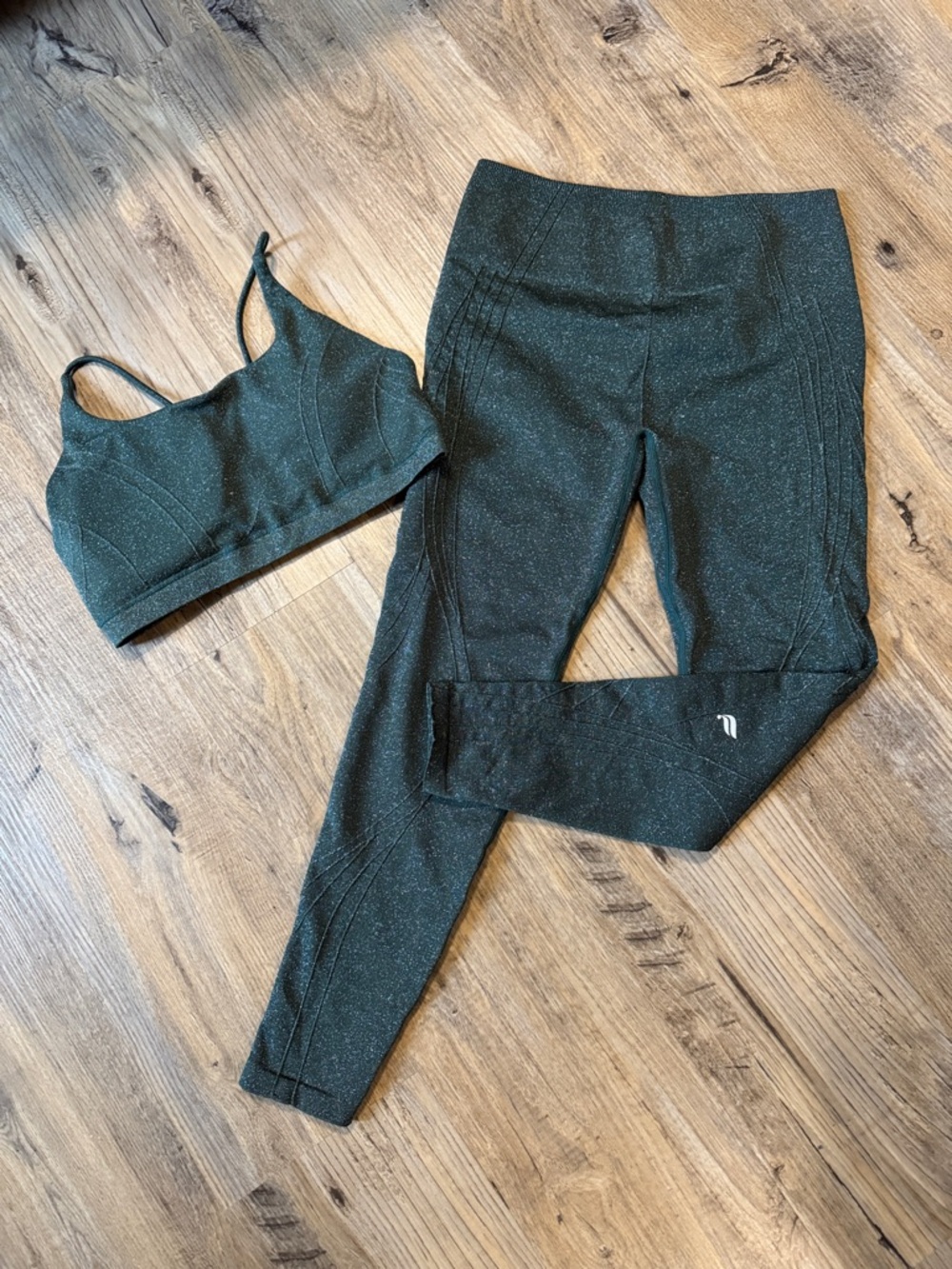 Fabletics bra and legging set